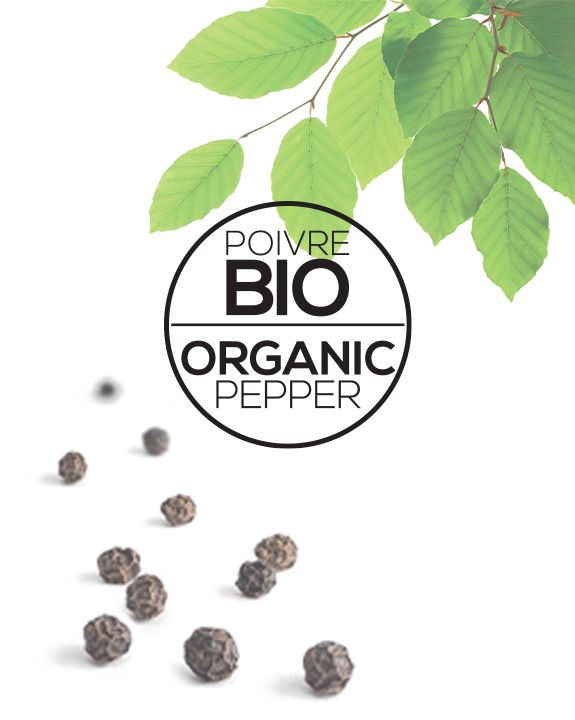 CASTELINE Casserole amovible Inox Multiply CRISTEL La Casserolerie