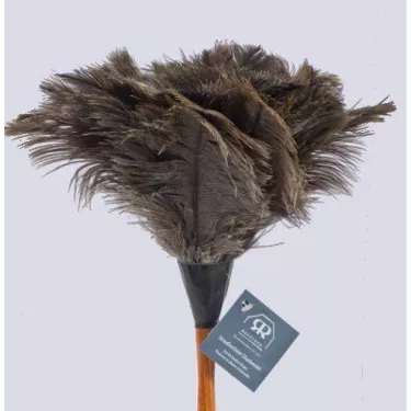 Plumeau en plumes...