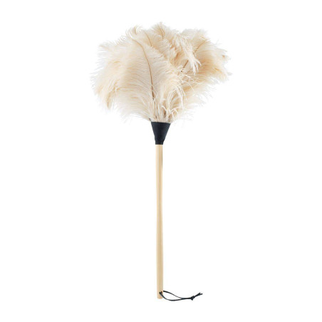 Plumeau en plumes...