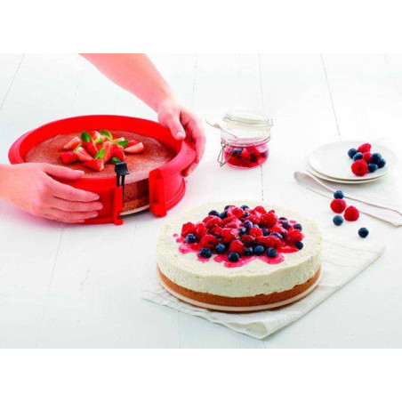 MANQUE 23 cm moule DUO...