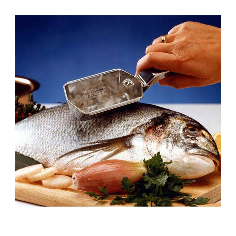 Ecailleur à POISSONS avec récupérateur Scalex WESTMARK