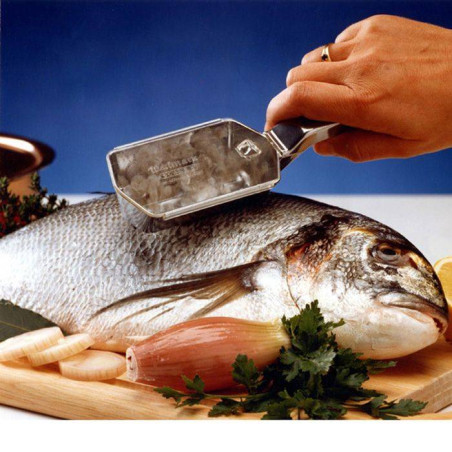 Ecailleur à POISSONS avec...