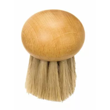 Brosse à champignons