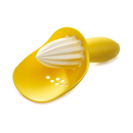Presse Citrons Agrumes avec...