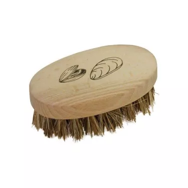 Brosse à  Coquillages