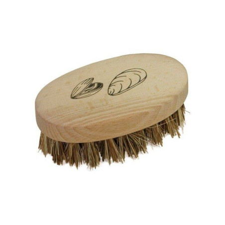 Brosse à  Coquillages