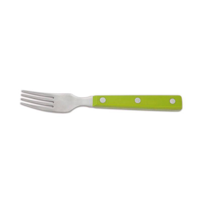 Fourchette Steak Arcos VERT SC fourchette-steak-arcos-vert-sc