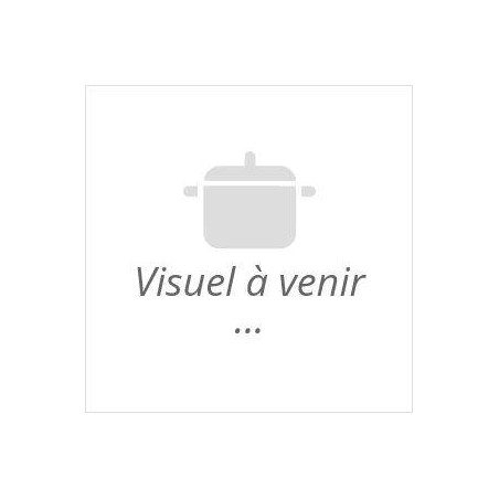 Cuillère boule à glace Zyliss