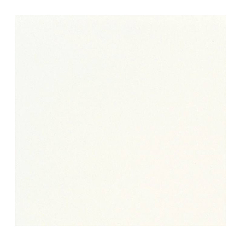 Serviette de table 40x40 Jetable Intissé Françoise PAVIOT Paquet de 20 - Blanc