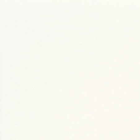 Serviette de table 40x40 Jetable Intissé Françoise PAVIOT Paquet de 20 - Blanc