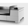 Plancha GAZ en fonte Châssis Inox FORGE ADOUR 3 feux PREMIUM 75