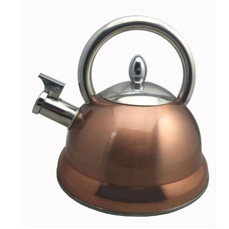 Bouilloire inox à sifflet...