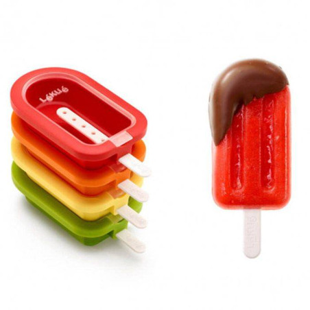 Moule pour 4 Mini glaces...