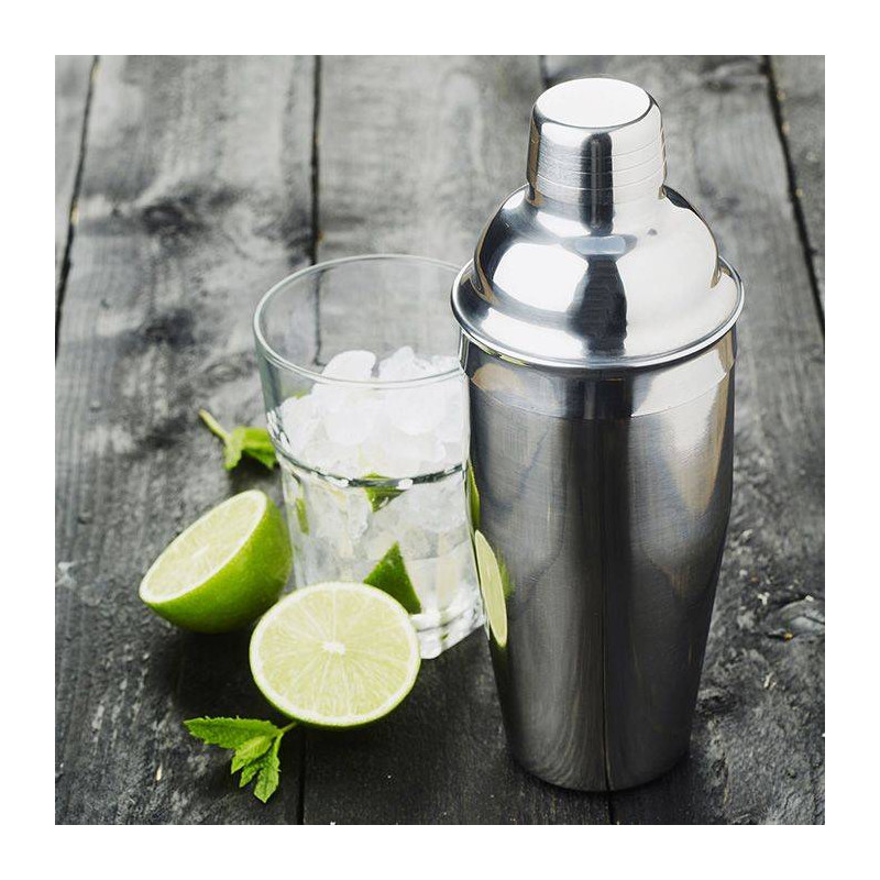 Shaker Cocktail inox Bouchon filtre et couvercle Point Virgule