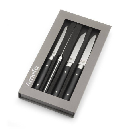 FUSION Coffret de 4 couteaux Steak Amefa