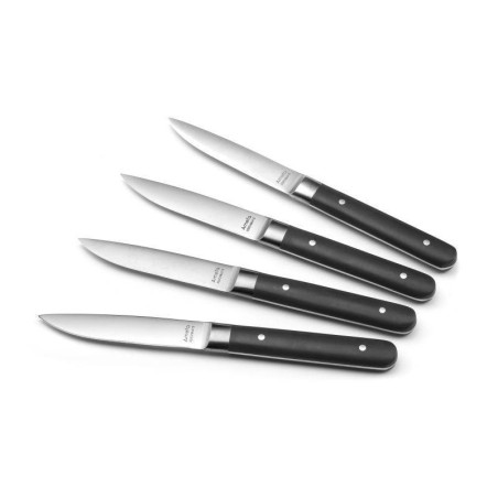 FUSION Coffret de 4 couteaux Steak Amefa
