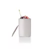 Yaourtière fromagère boissons fermentées  électrique SIMEO 4 pots céramique