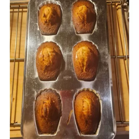 Moule à 6 Madeleines en Fer...