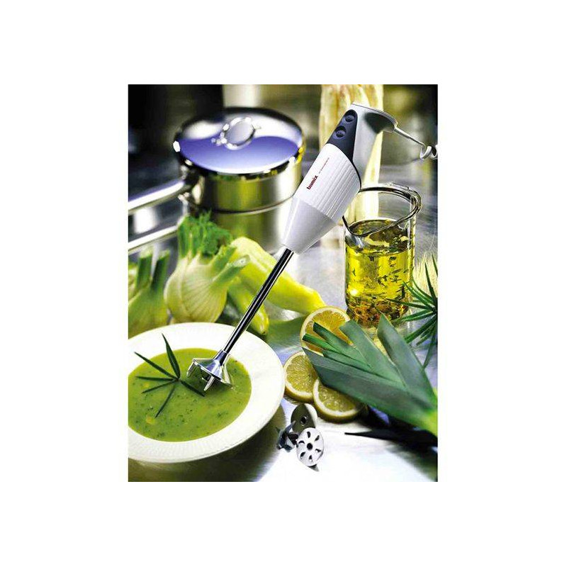 BAMIX Professionnel Mixeur Plongeant M350 GASTRO Blanc et Gris clair
