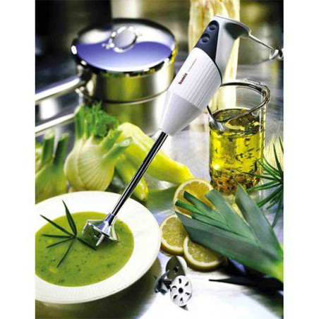 BAMIX Professionnel Mixeur Plongeant M350 GASTRO Blanc et Gris clair