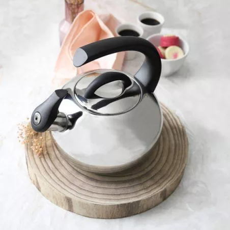 2.5L Bouilloire Sifflante Induction En Acier Inoxydable Poignée