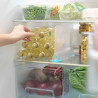 FRIDGE STORE Séparateur Diviseur d'étagère mobile pour réfrigérateur Joseph Joseph