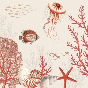 CORAL REEF serviette en...