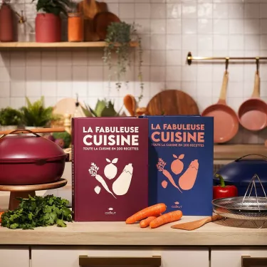LIVRE 200 RECETTES DE LA FABULEUSE POÊLE