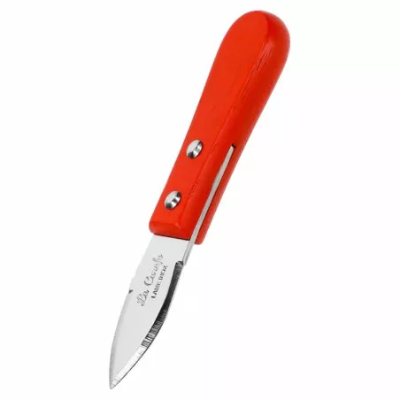 Lancette à huitres Abricot...