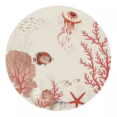 CORAL REEF assiette à...