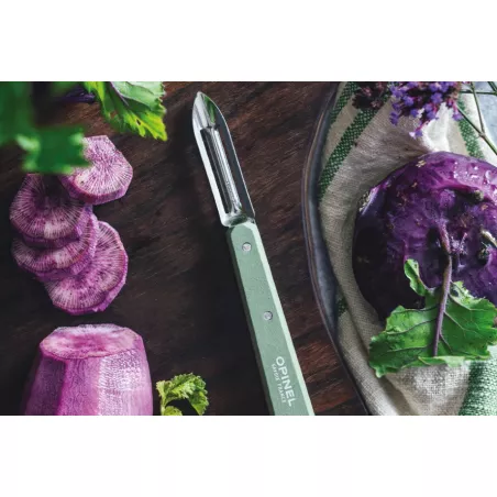 Econome N°115  OPINEL sauge