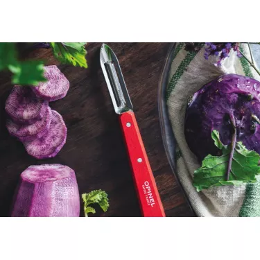 Econome N°115  OPINEL rouge