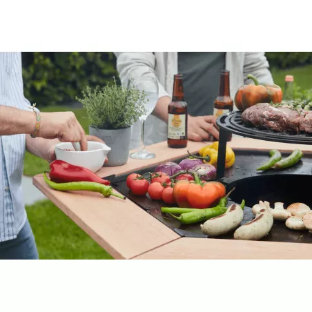 Brasero barbecue plancha en...