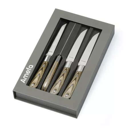 ACHILLE Coffret Amefa 4...