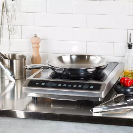 Poêle Inox 28 Cm Cristel Castel Pro 5 PLY - Fond 5 Couches, Compatible Induction, Poignée Fixe Athermique, Fabriqué En France - 5